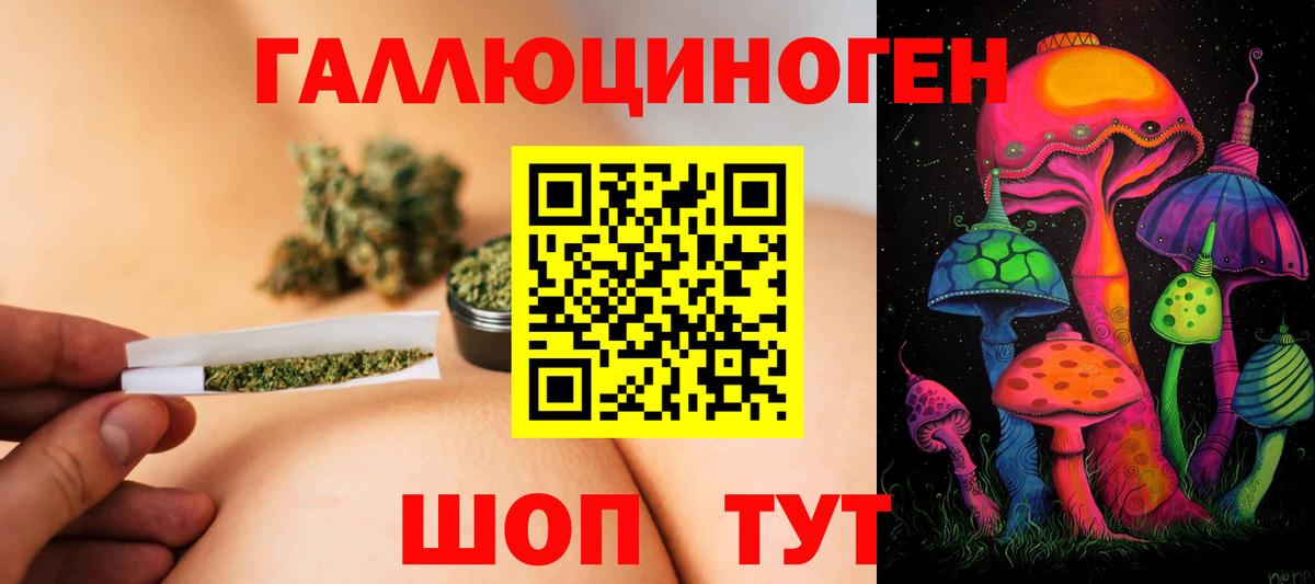 Скопин  цена   Галлюциногенные грибы GOLDEN TEACHER  Вход с VPN  Псилоцибиновые грибы MAGIC MUSHROOMS 